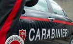 Sequestrate ad un cittadino tre piante di marijuana a Saronno