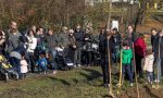 Notte al Parco degli Aironi per adulti e bambini