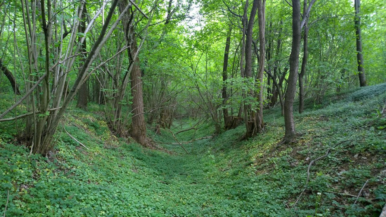 Parco Rugareto, due arresti per spaccio