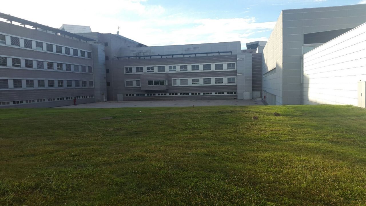 Pene incastrato in un peso da bilanciere: va in ospedale, liberato dai pompieri