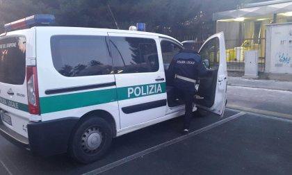 Rubava dalle tombe del cimitero, preso dai vigili