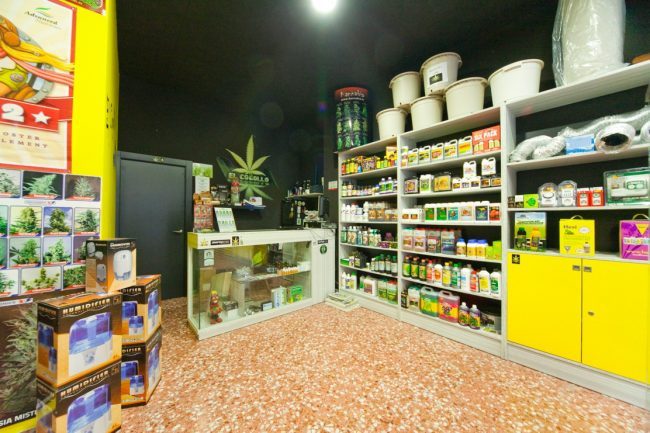 Cannabis light: i canapa shop non chiuderanno ma servono regole
