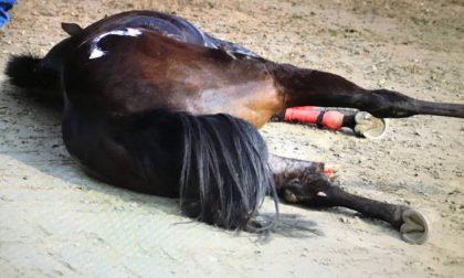 Legnano in festa per il Palio ma la Lav torna sul problema sicurezza