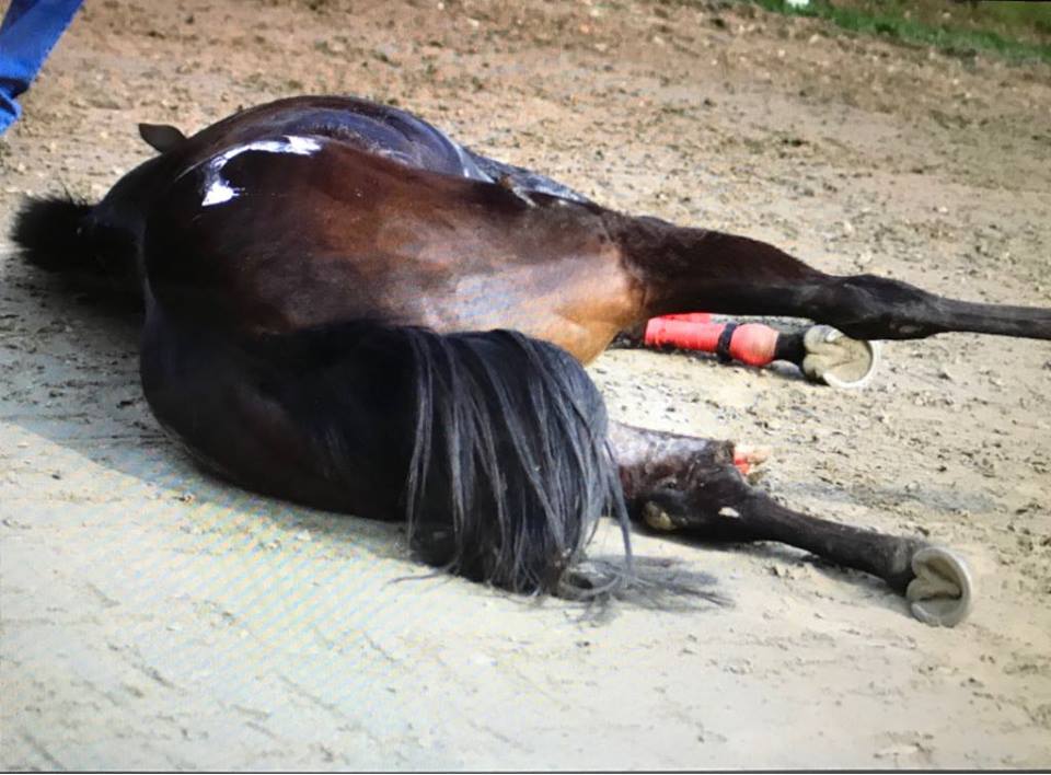 Legnano in festa per il Palio ma la Lav torna sul problema sicurezza