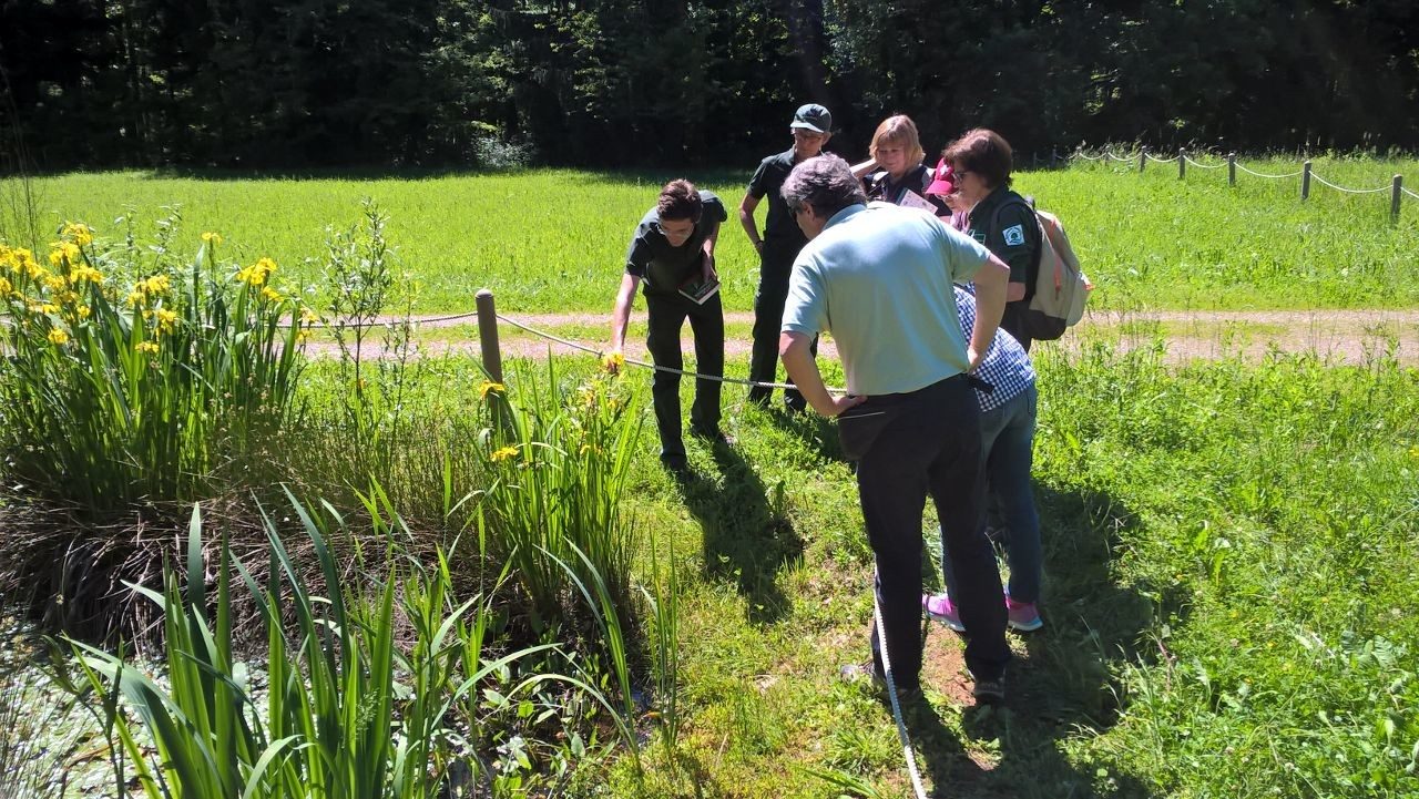 Laboratori, escursioni e cacce al tesoro nelle domeniche al Parco Pineta