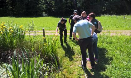 Laboratori, escursioni e cacce al tesoro nelle domeniche al Parco Pineta