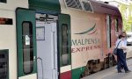 Daino investito sui binari dal Malpensa Express