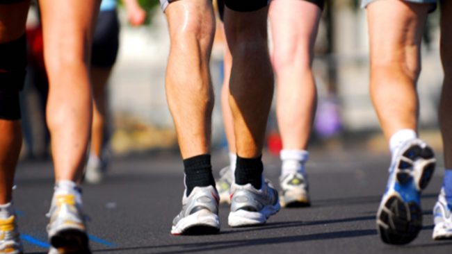 Torna la camminata dell’Arca del Seprio