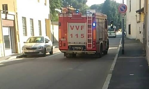 Gatto incastrato sotto l’auto salvato a Nerviano
