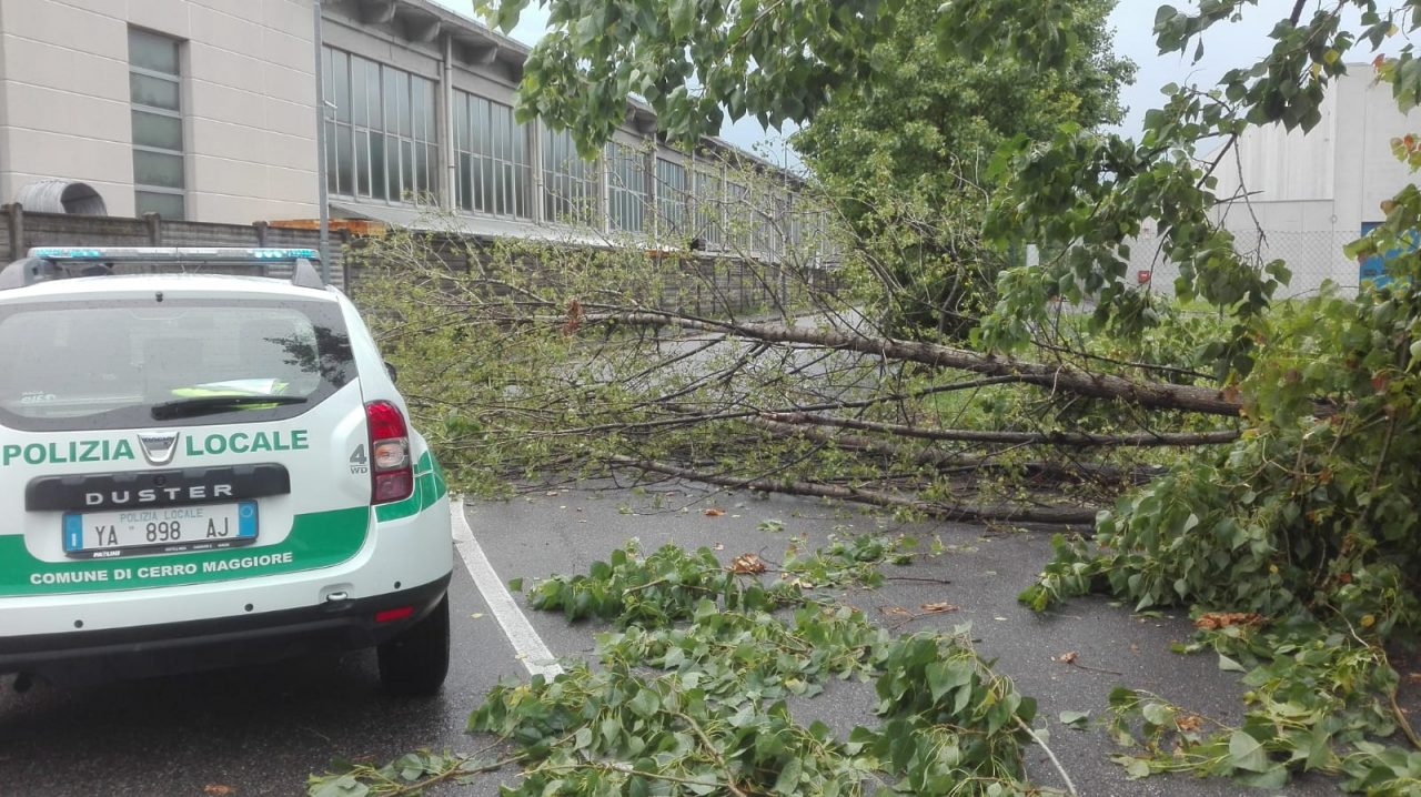 Maxi temporale crollano alberi a Cerro e Nerviano
