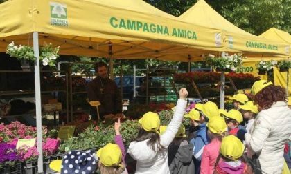 Campagna Amica, l’AgriMercato a Sesto Calende il 9 giugno