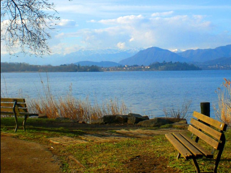 Risanamento del Lago di Varese