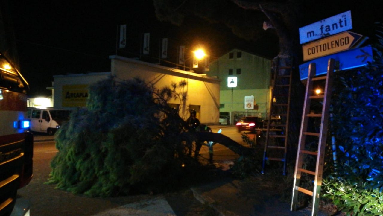 Grosso ramo cade sul Sempione, paura a S.Vittore LE FOTO