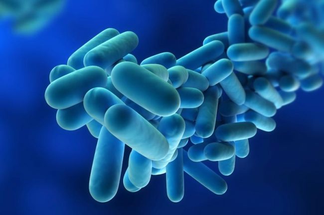 Legionella a Busto, il sindaco Antonelli invita a stare tranquilli