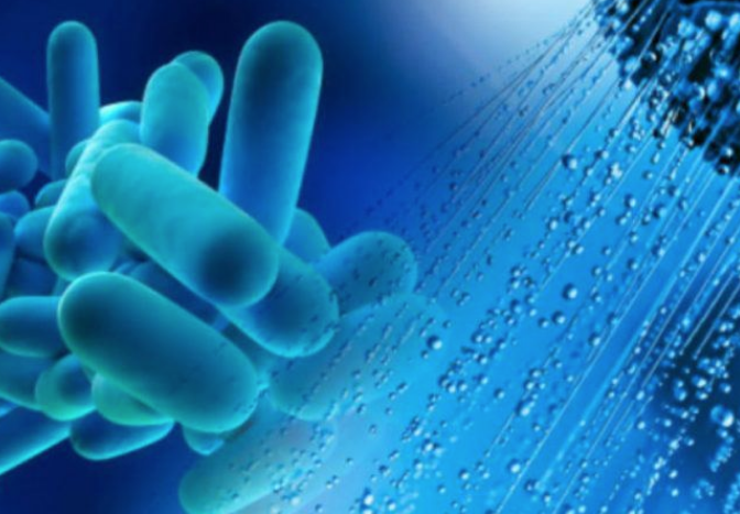 Legionella, un caso nel municipio di Saronno