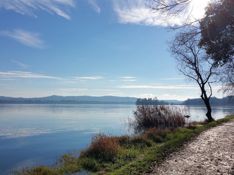 Lago di Varese balneabile entro il 2023? “Un sogno a portata di mano”
