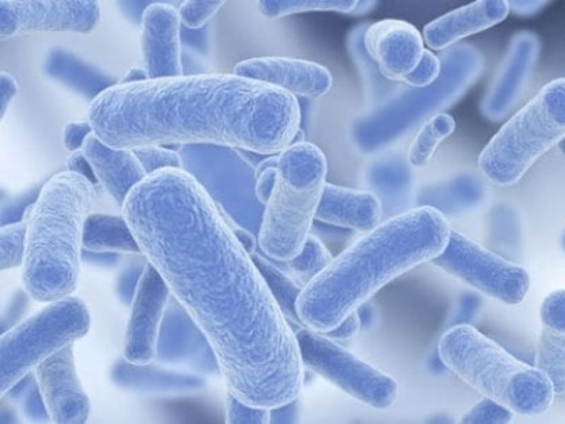 Legionella come prevenire il contagio