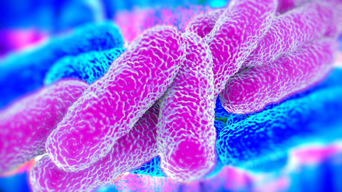 Legionella a Busto Arsizio, Astuti: “Comunicazione di sindaco e Ats in ritardo di due settimane”