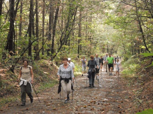 Strade e sentieri del Parco, sindaci e assessori fanno il punto