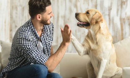 "Patentino" per possessori di cane