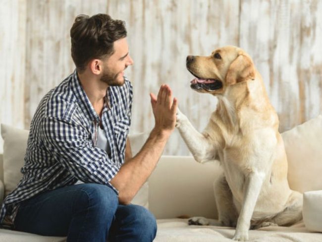 Giornata Internazionale del cane: mandateci le vostre foto