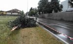 Maltempo, alberi caduti a Parabiago