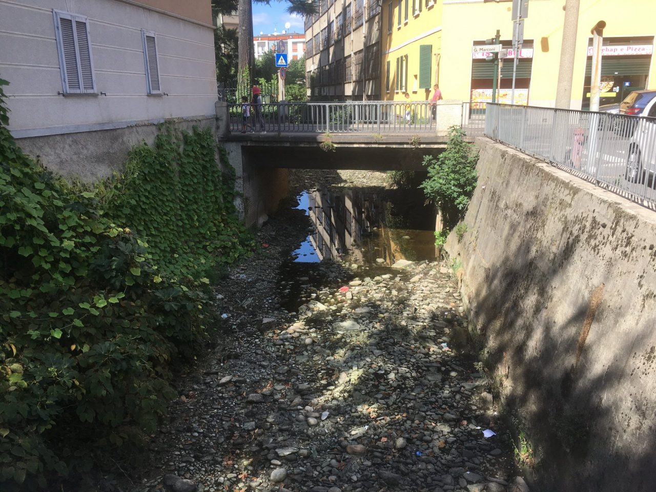 Centro di Saronno tra fogna rotta e ratti FOTO e VIDEO