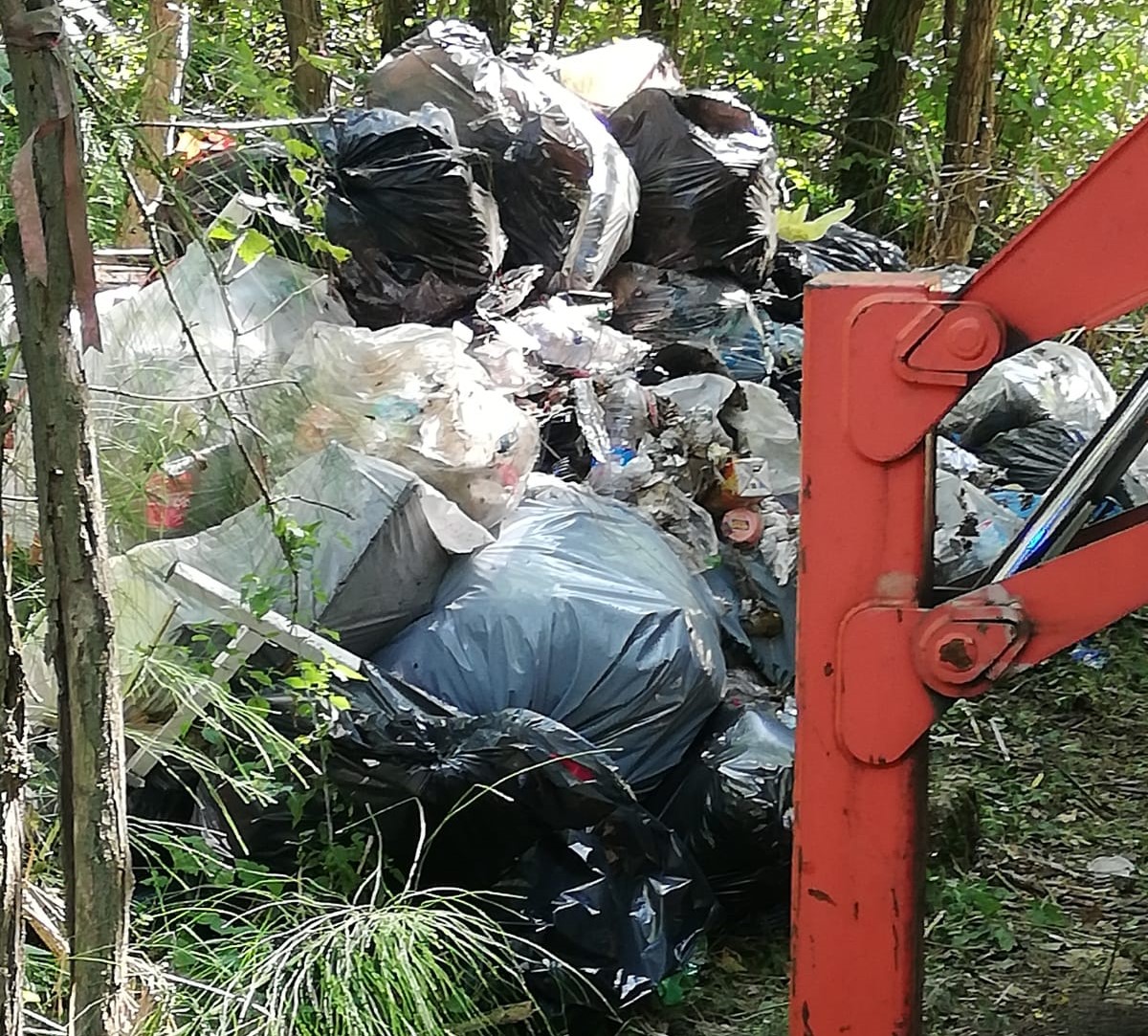 Bosco della droga: azioni di contrasto a Robecchetto