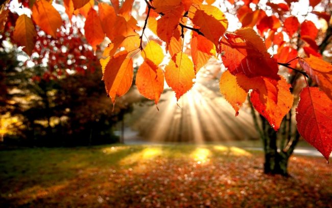 Equinozio d’autunno oggi 21 settembre? No, è domenica 23