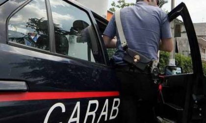 Spaccio nei boschi a Mornago, blitz dei carabinieri: sette arresti