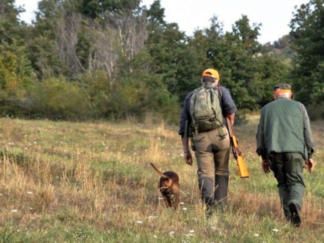 Ronde anticaccia degli animalisti a Saronno, Gerenzano, Turate e Rovello