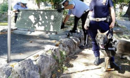 Un cane poliziotto fascista scatena la bagarre in Consiglio comunale