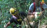 Cane cade in un crepaccio, il salvataggio dei Vigili del Fuoco