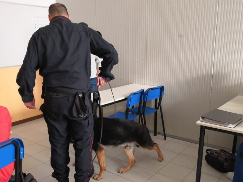 Servizio antidroga negli istituti scolastici