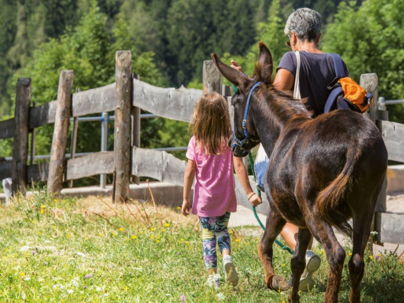 “Fattorie aperte”, l’open day delle fattorie didattiche