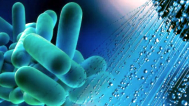 Legionella a Busto, l’assessore regionale: “Situazione sotto controllo”