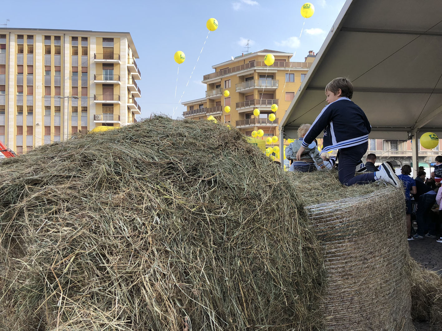 Bimbi sui covoni di fieno