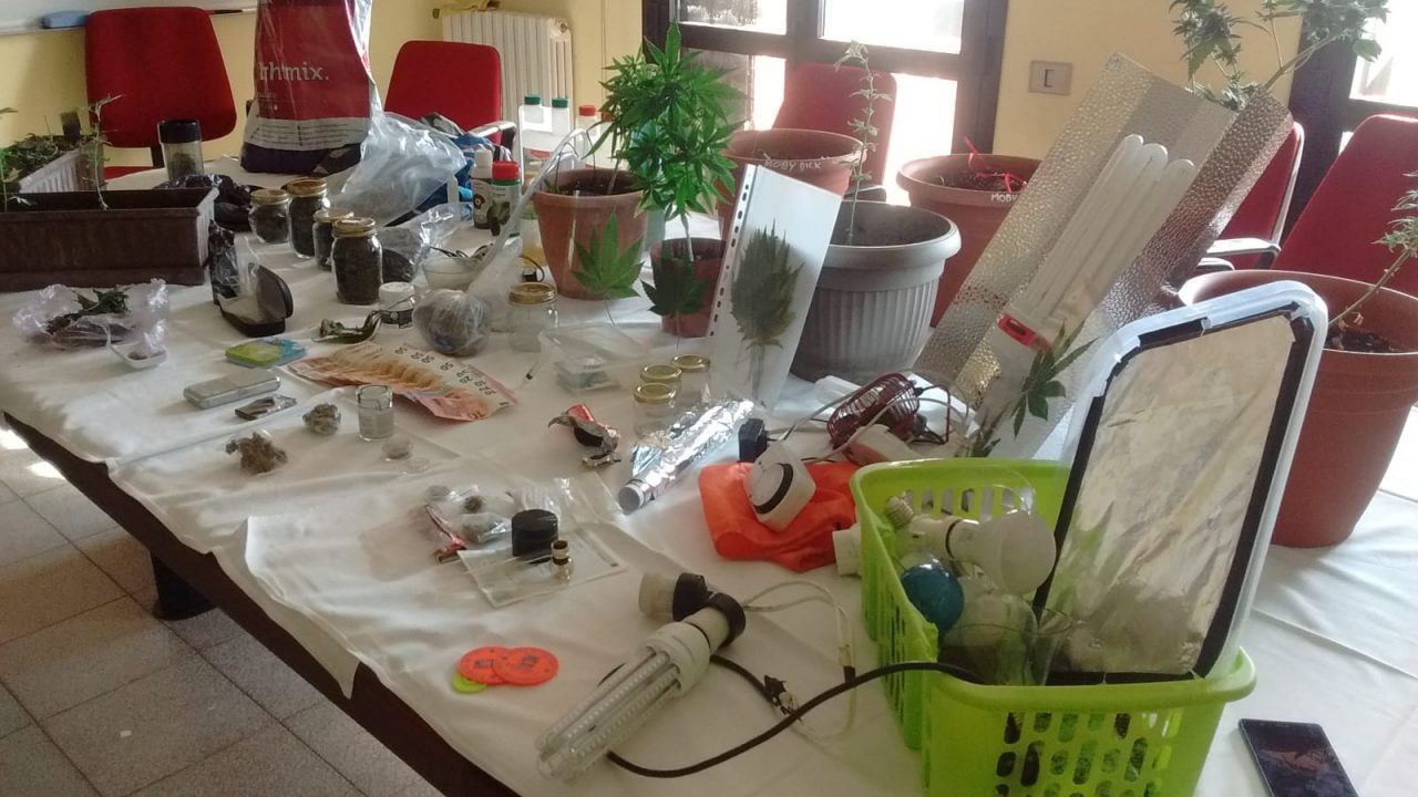 Serra di marijuana in casa: arrestato 19enne FOTO