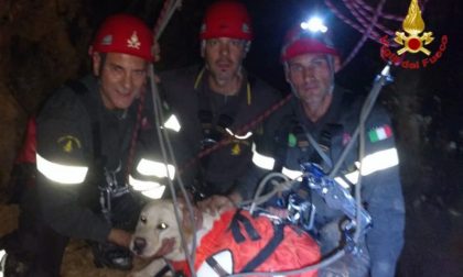 Labrador entra in una grotta e precipita per trenta metri FOTO