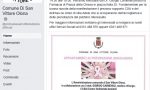 Pagina facebook, San Vittore torna on line