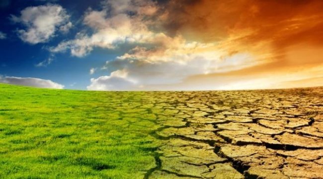 Caldo anomalo, i “giorni della Merla” son volati via. L’allarme di Coldiretti