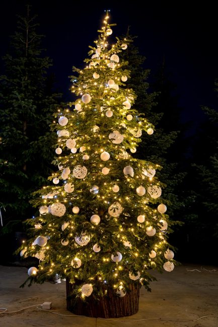 Alla Vigilia in piazza per festeggiare insieme e doni per i bambini