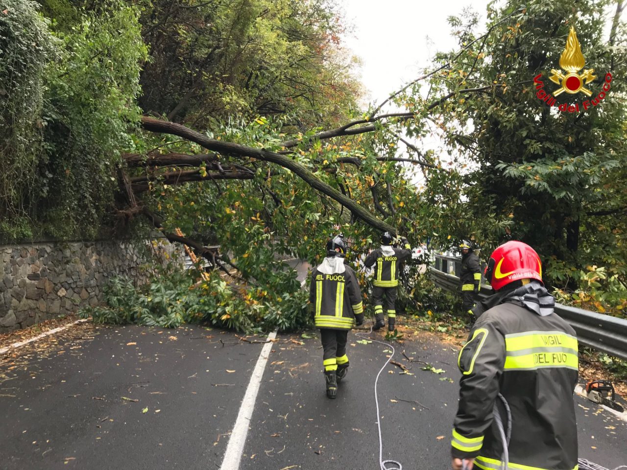 Interrotta la circolazione sulla SS 394 per caduta alberi