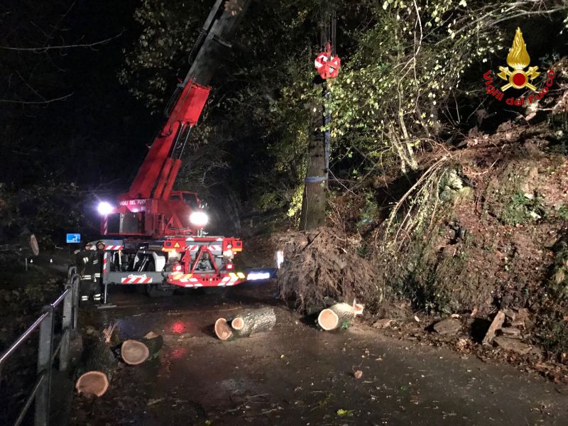 Cade grosso albero, interrotta la sp62 a Rancio Valcuvia FOTO