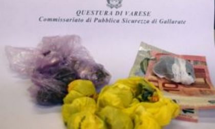 Marijuana nascosta tra le piante: denunciato spacciatore nigeriano