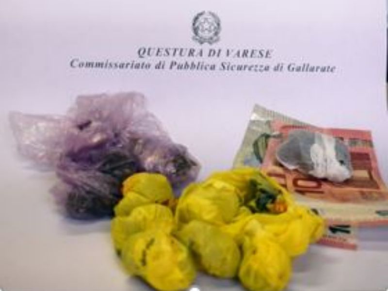 Marijuana nascosta tra le piante: denunciato spacciatore nigeriano