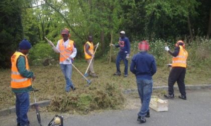 Regione, stop nei Comuni ai profughi giardinieri