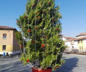 Cade l'albero di Natale a San Giorgio su Legnano