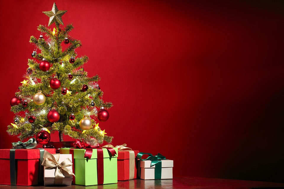 I consigli di Coldiretti per un albero di Natale perfetto