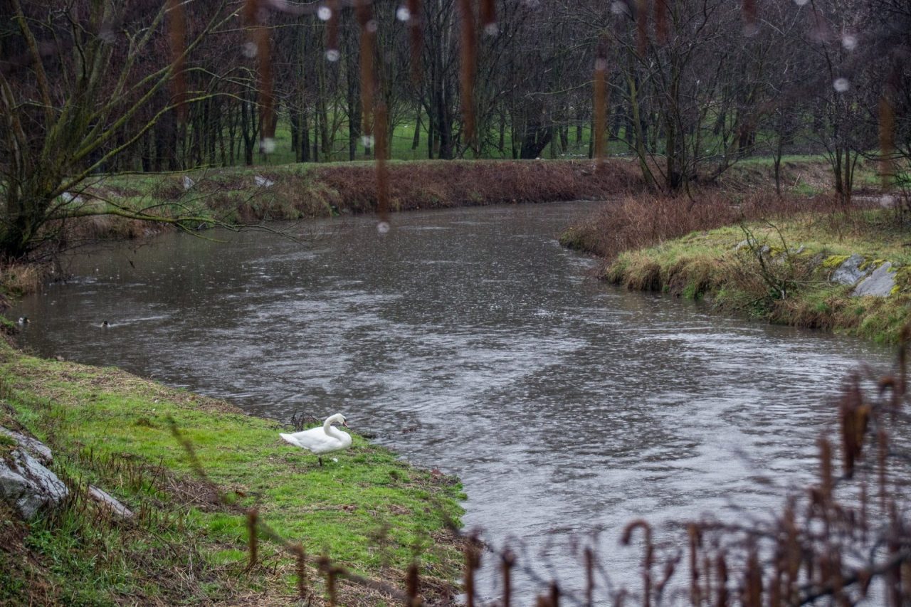 Valle Olona, nuovo progetto per riscoprirne la bellezza